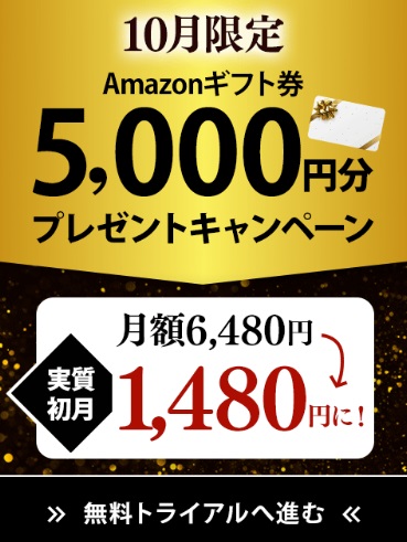 ネイティブキャンプ 評判