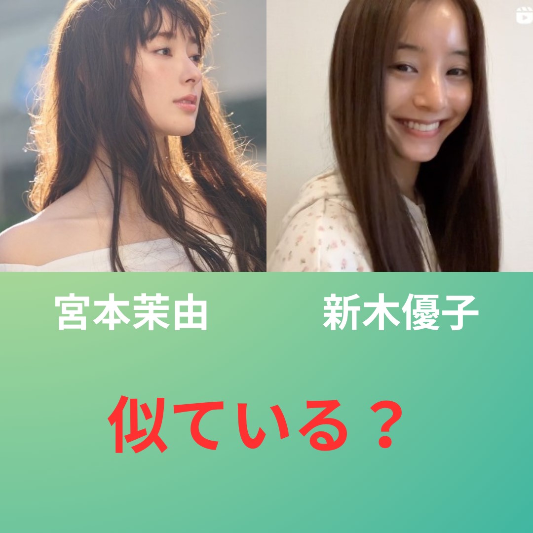 宮本茉由 新木優子 似てる？