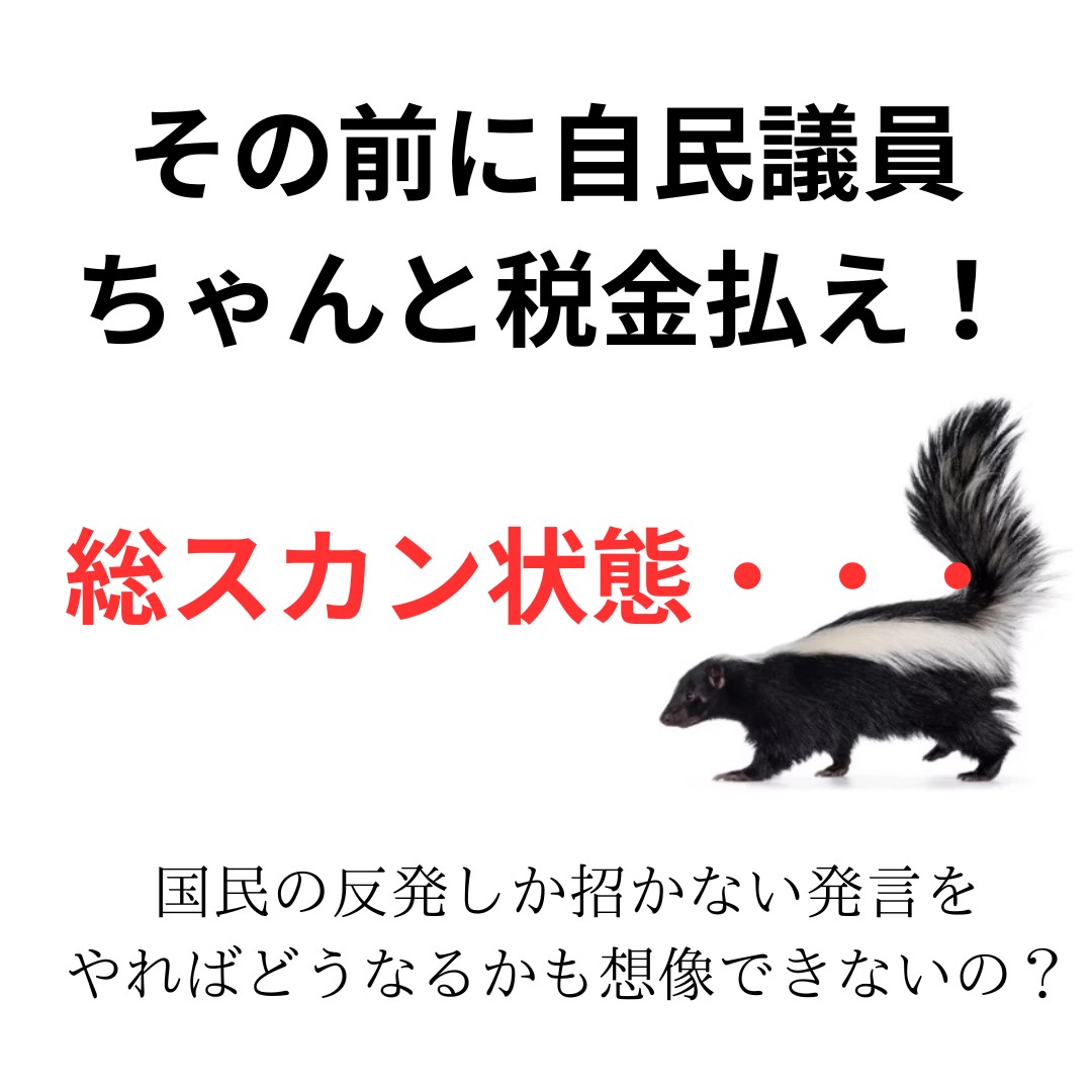 その前に自民議員ちゃんと税金払え